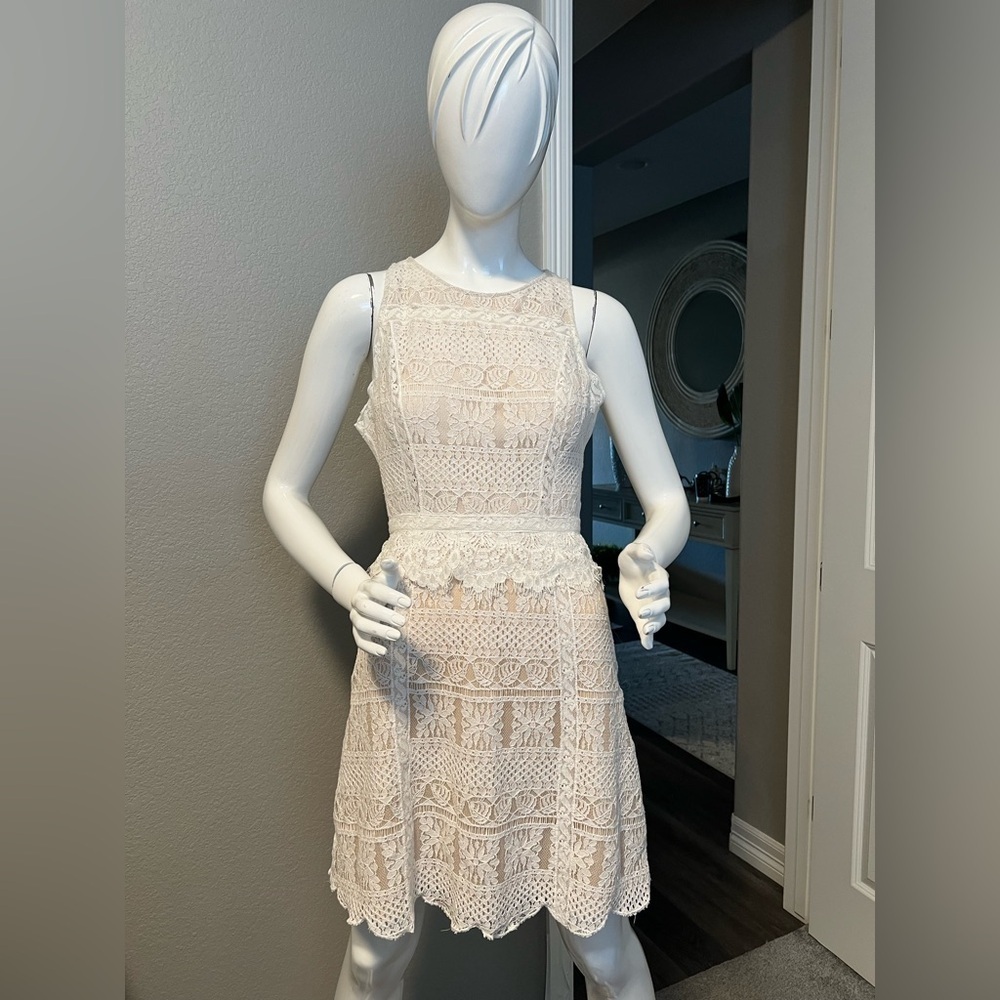 All Saints Melia Lace Dress size 6 - Picture 2 of 16